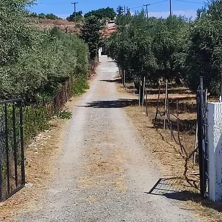 Holiday home Olive Grove Skalani *