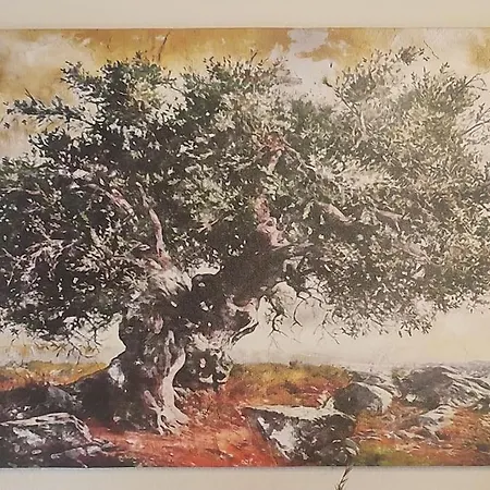 Holiday home Olive Grove Skalani *
