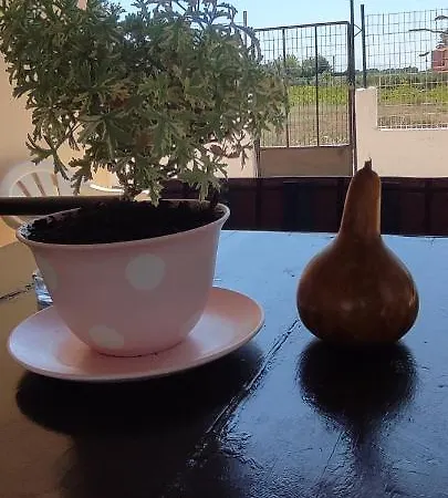 Olive Grove Skalani * Knosos